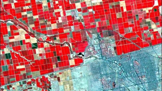 service-1 aster mexicali